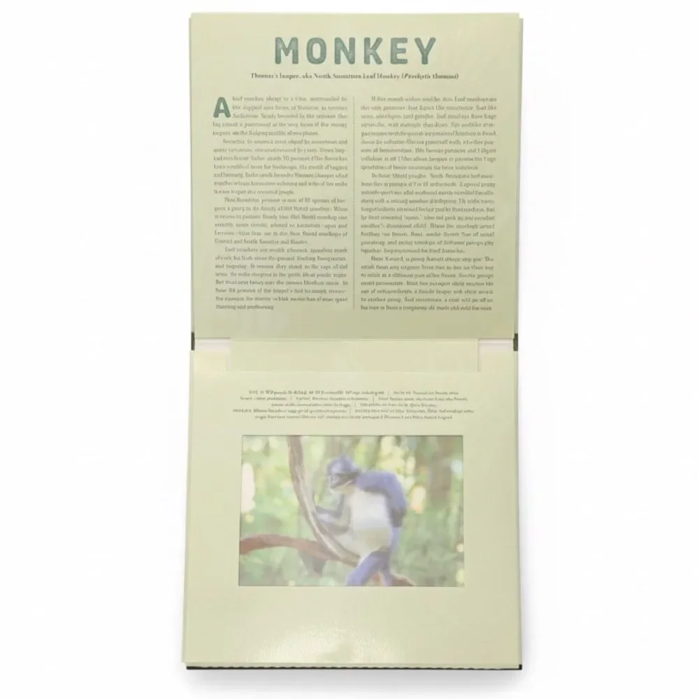 Jungle: A Photicular Book Kids Animal Book by Dan Kainen and Kathy Wollard.